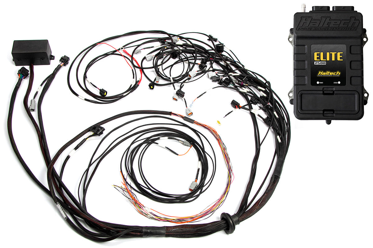 ECU's & Wiring Harnesses