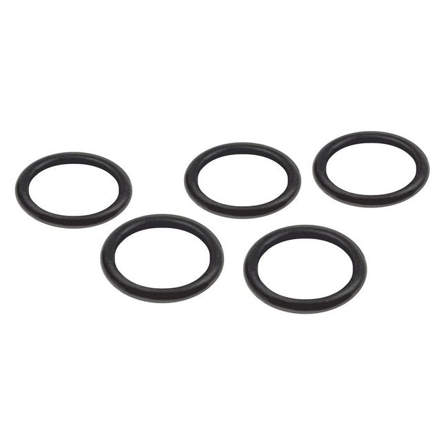 Raceworks E85 Safe Viton O-Rings (5pk)