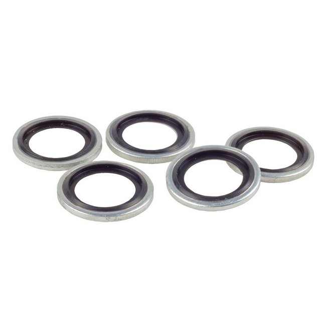 Raceworks Dowty (bonded) Seal (5pk)